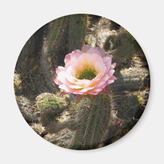 Roze Cactus Flower Magneet (Voorkant)