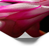 Roze Cactus Flower Print (Hoek)