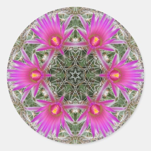Roze Cactus Flower Ronde Sticker (Voorkant)