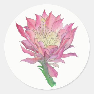 Roze Cactus Flower Small Round Sticker