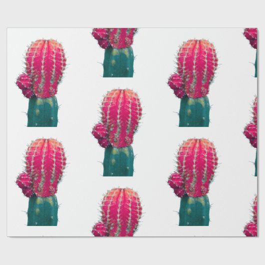 Roze Cactus foto inpakpapier (Vlak)