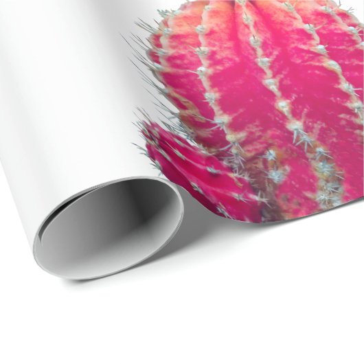 Roze Cactus foto inpakpapier (Rol Hoek)