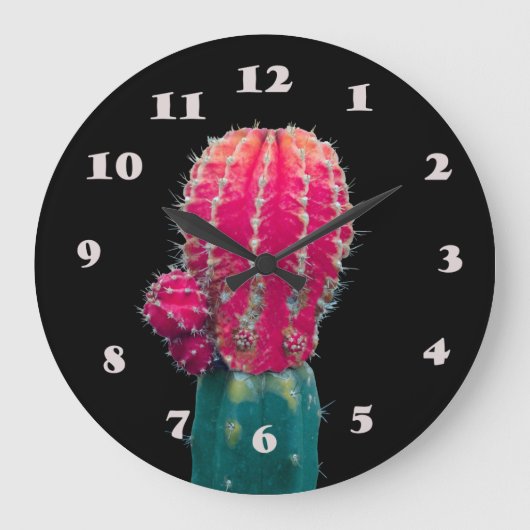 Roze Cactus Foto Wandklok (Voorkant)