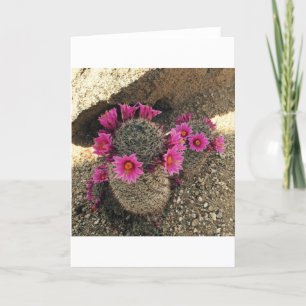 Roze Cactus in Bloei Feestdagen Kaart