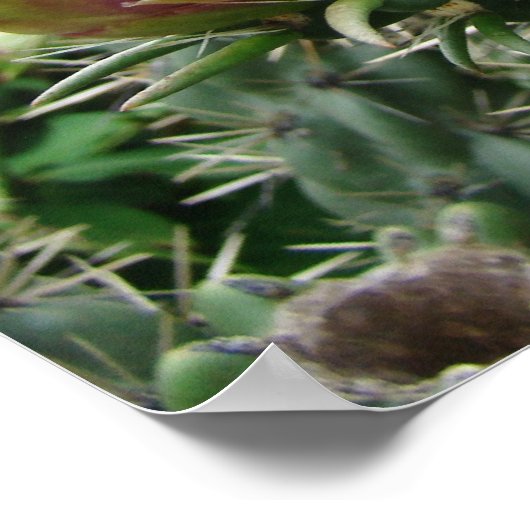 Roze Cactus Print (Hoek)