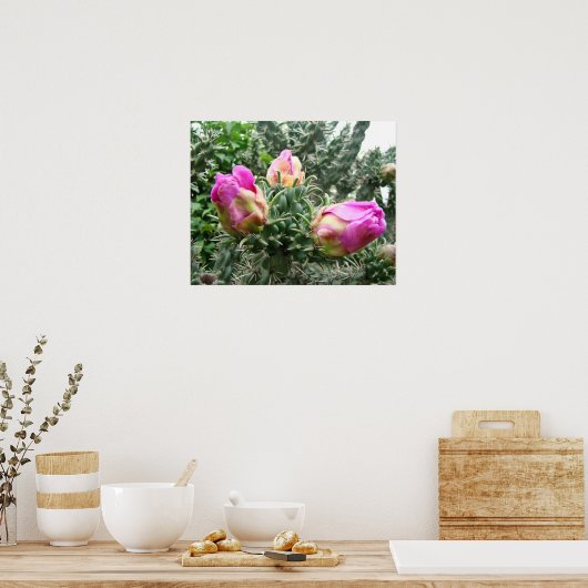 Roze Cactus Print (Keuken)