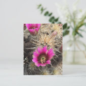 Roze cactuusbloem briefkaart (Staand voorkant)