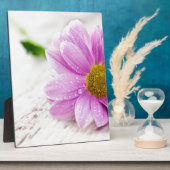 Roze cadeau voor daisy flower fotoplaat (Zijkant)