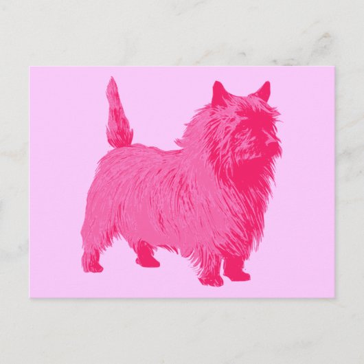 Roze Cairn Terrier Briefkaart (Voorkant)