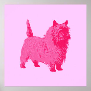 Roze Cairn Terrier Poster
