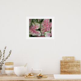 Roze Caladiumbladeren Bloemstuk Poster
