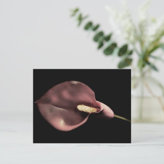 Roze Calla - Briefkaart (Staand voorkant)