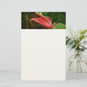 Roze Calla lelie Elegante bloemen Briefpapier (Staand voorkant)