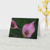 Roze Calla Lelie Kaart (Gele Bloem)