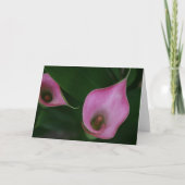 Roze Calla Lelie Kaart (Voorkant)