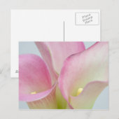 Roze Calla-lelies Briefkaart (Voorkant / Achterkant)