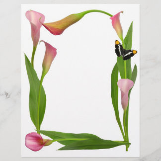 Roze Calla Lilies