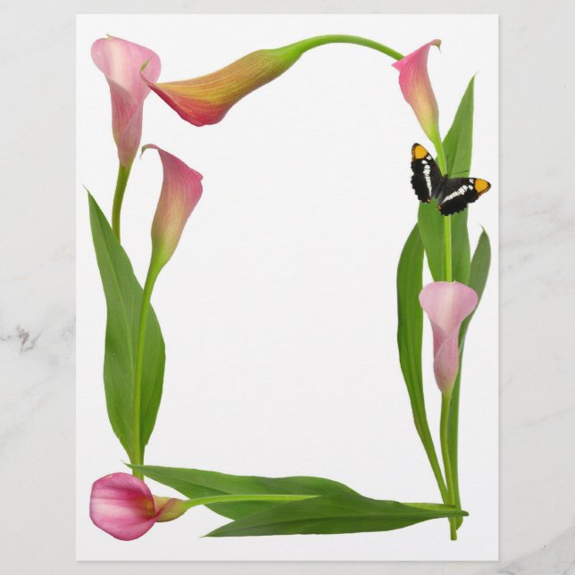 Roze Calla Lilies (Voorkant)