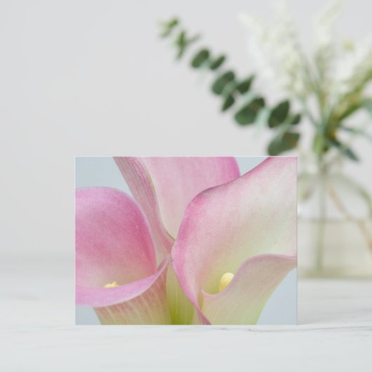 Roze Calla Lilies Briefkaart (Staand voorkant)