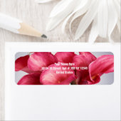 Roze Calla Lilies Etiket (Insitu)