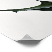 Roze Calla Lilies Lily Flower Art Print Poster (Hoek)