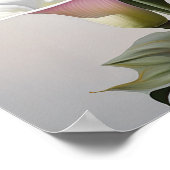 Roze Calla Lilies Lily Flower Art Print Poster (Hoek)