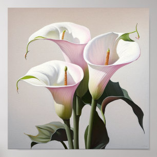 Roze Calla Lilies Lily Flower Art Print Poster