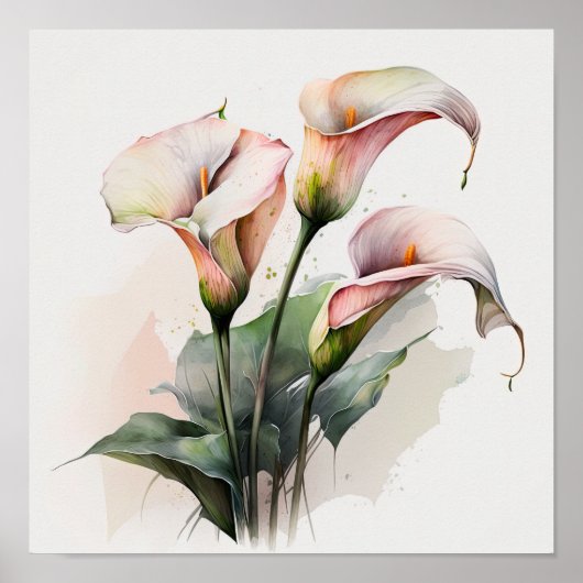 Roze Calla Lilies Lily Flower Art Print Poster (Voorkant)