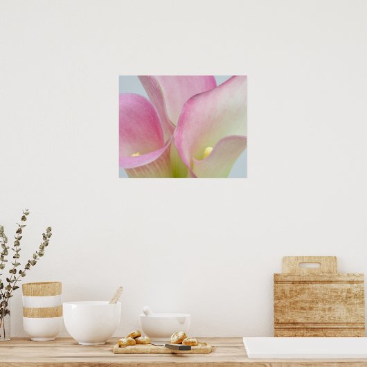 Roze Calla Lilies Poster (Keuken)