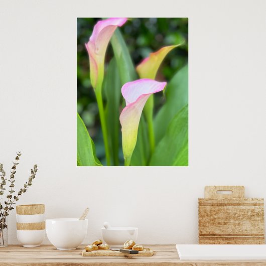 Roze Calla Lillies Foto Home Decor Poster (Keuken)