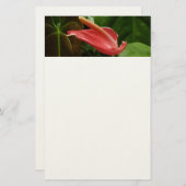 Roze Calla Lily Elegant Bloemen Briefpapier (Voorkant / Achterkant)