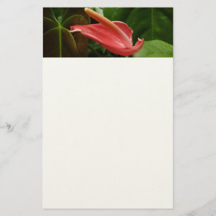Roze Calla Lily Elegant Bloemen Briefpapier