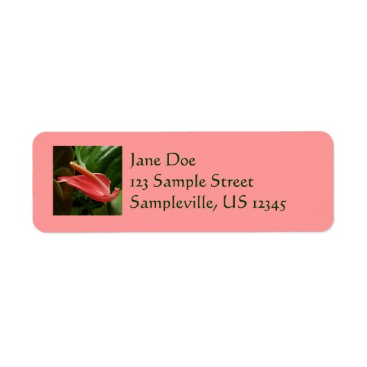 Roze Calla Lily Elegant Bloemen Etiket (Voorkant)