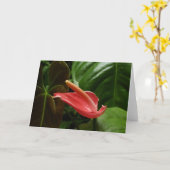 Roze Calla Lily Elegant Bloemen Kaart (Gele Bloem)