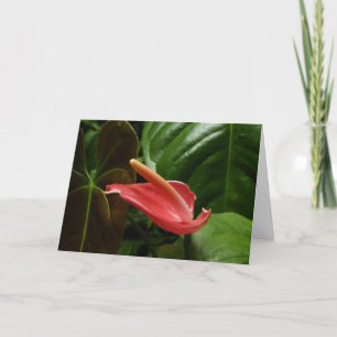Roze Calla Lily Elegant Bloemen Kaart