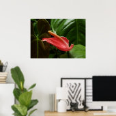 Roze Calla Lily Elegant Bloemen Poster (Thuiskantoor)