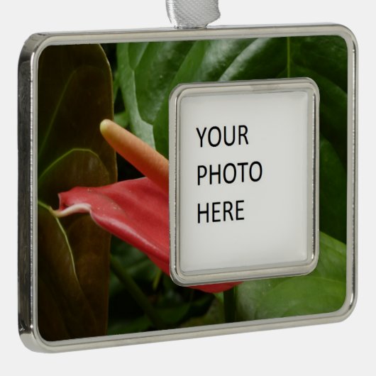 Roze Calla Lily Elegant Bloemen Verzilverd Omlijst Ornament (Rechts)