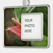 Roze Calla Lily Elegant Bloemen Verzilverd Omlijst Ornament (Links)