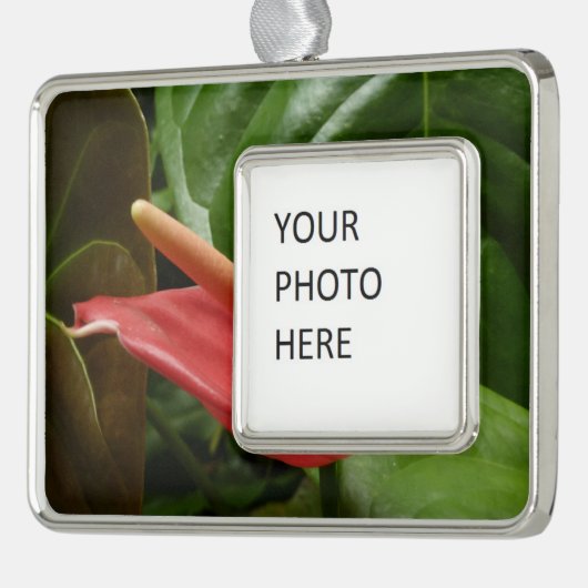 Roze Calla Lily Elegant Bloemen Verzilverd Omlijst Ornament (Links)