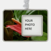 Roze Calla Lily Elegant Bloemen Verzilverd Omlijst Ornament (Voorkant)