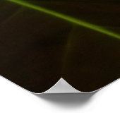 Roze Calla Lily Elegante Bloem Poster (Hoek)