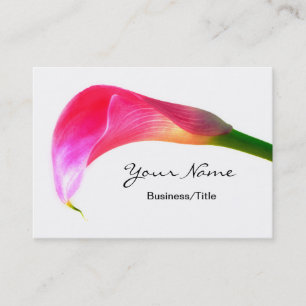 Roze Calla Lily op White Visitekaartje