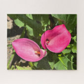Roze Calla Lily, San Mateo Legpuzzel (Horizontaal)