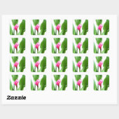  roze Calla Lily Vierkante Sticker (Vel)