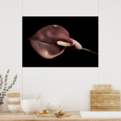 Roze Calla Poster (Keuken)