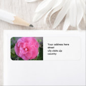 Roze Camelia Blossom Retouradreslabel Etiket (Insitu)