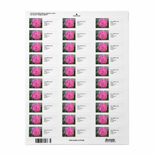 Roze Camelia Blossom Retouradreslabel Etiket (Full Sheet)