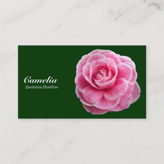 Roze Camelia - Donkergroen 003300 Visitekaartje (Voorkant)