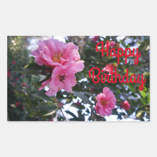 Roze Camellia #2 Happy Birthday Stickers (Voorkant)