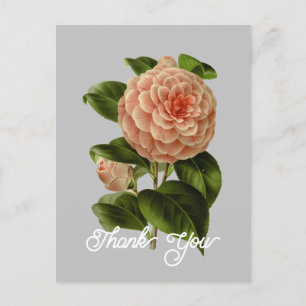 Roze Camellia Albino Botti Bedankt uit de Vintage  Briefkaart